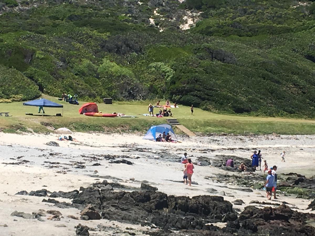 Royal Albatros Apartman Gansbaai Kültér fotó