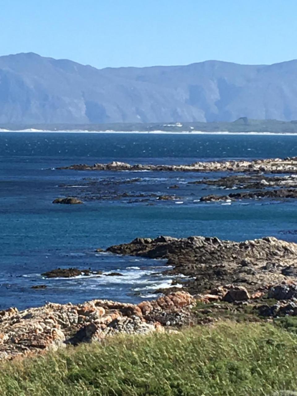 Royal Albatros Apartman Gansbaai Kültér fotó