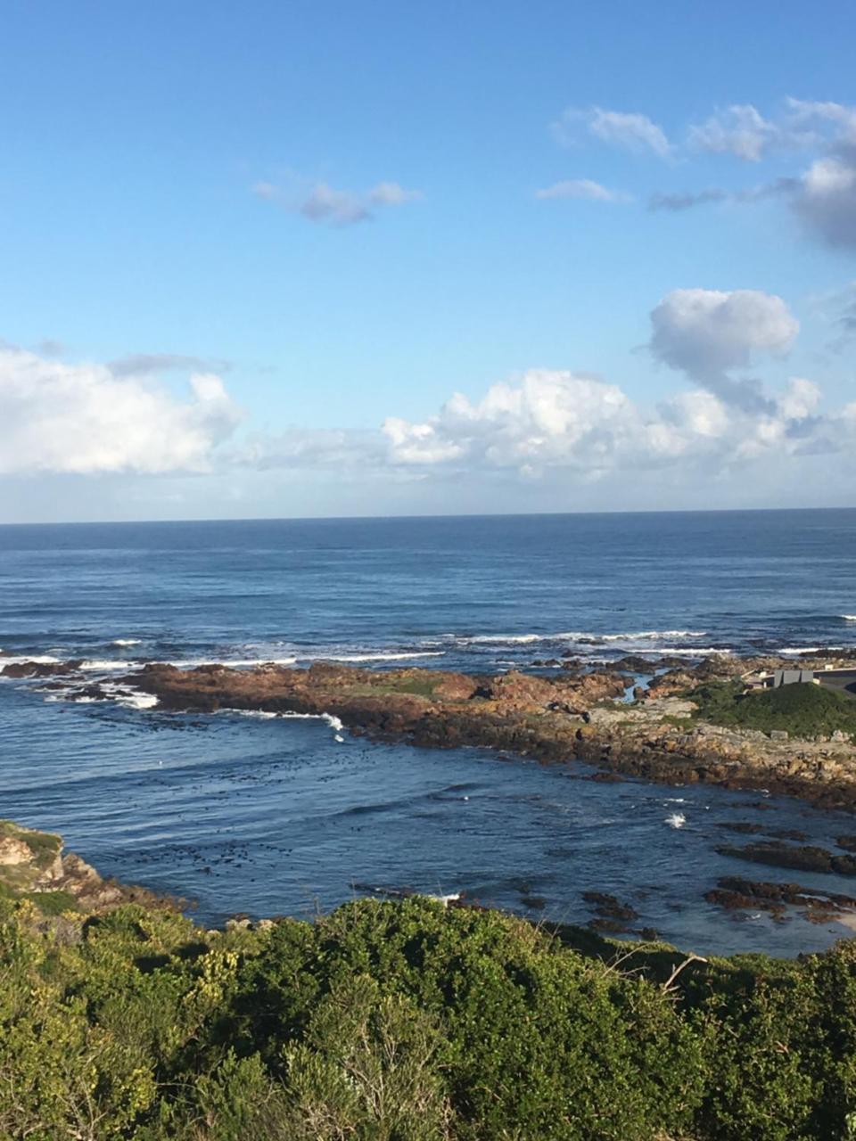 Royal Albatros Apartman Gansbaai Kültér fotó